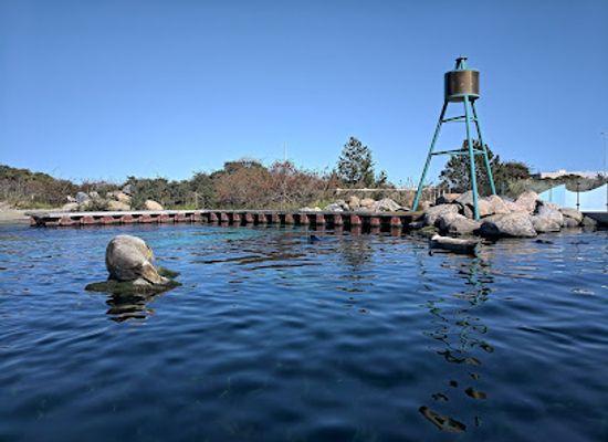 denmark/the-north-sea-islands/attraction/the-north-sea-oceanarium