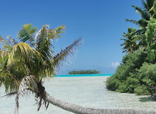 french-polynesia/rangiroa/attraction/rairoa-fishing-and-tours
