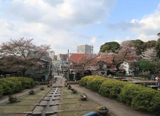 japan/tokyo/attraction/motomachi-park
