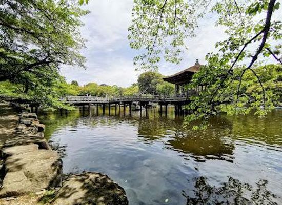 japan/kyoto/attraction/sagi-pond