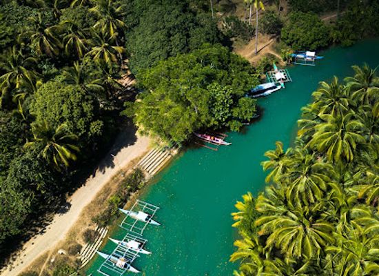 philippines/palawan/attraction/dewil-evo-mangrove-tour