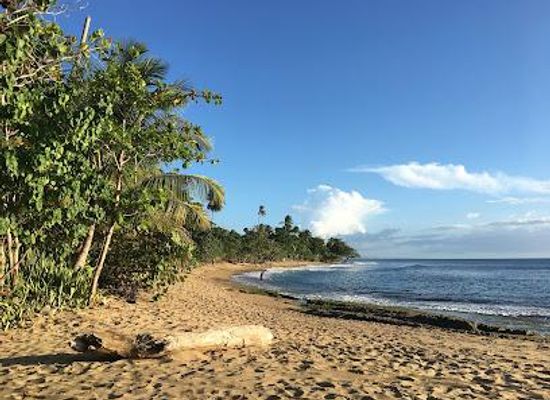 puerto-rico/rincon/attraction/playa-escalera-reserva-marina-tres-palmas