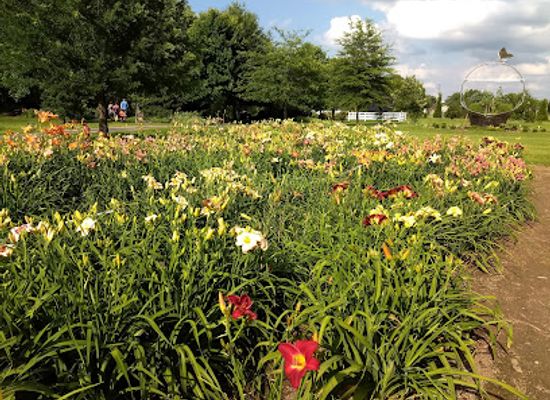 kentucky/bluegrass-region/attraction/western-kentucky-botanical-garden