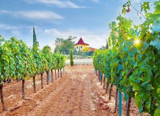 greece/central-macedonia/attraction/rupel-winery
