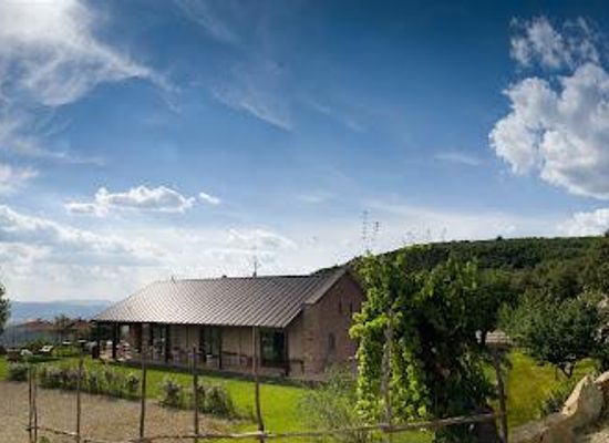 italy/casentino/attraction/pomaio-wines-hospitality
