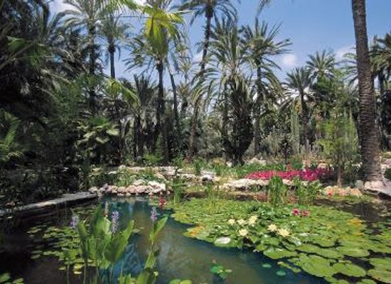 spain/alicante/attraction/huerto-del-cura