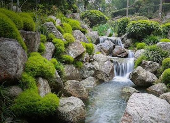 malaysia/selangor/attraction/botanical-garden-by-japanese-village
