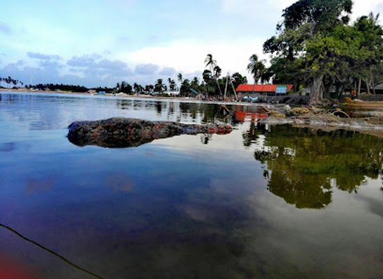 sri-lanka/kalpitiya/attraction/great-tourists-at-kalpitiya