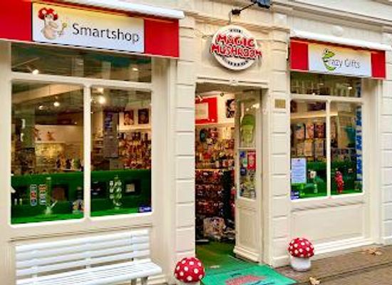 netherlands/amsterdam/attraction/the-magic-mushroom-gallery