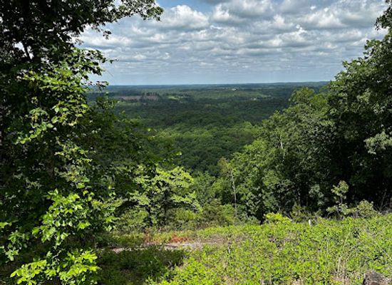 north-carolina/high-country/attraction/uwharrie-national-forest