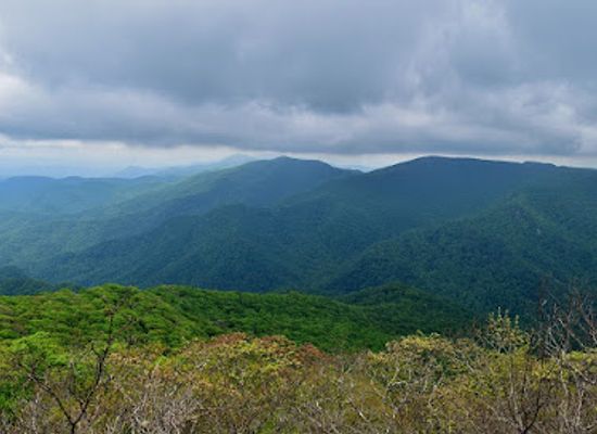 north-carolina/nantahala-national-forest/attraction/southern-nantahala-wilderness