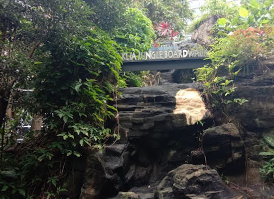 malaysia/klang-valley/attraction/klia-jungle-boardwalk-sepang-selangor