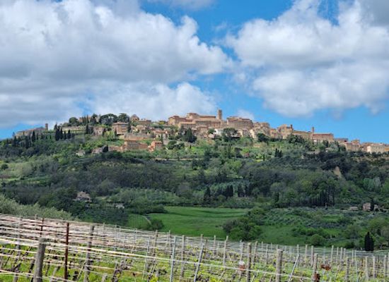 italy/montepulciano/attraction/manvi