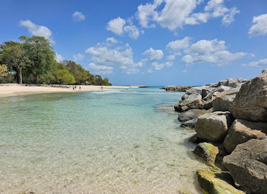 barbados/saint-peter/attraction/heywoods-beach