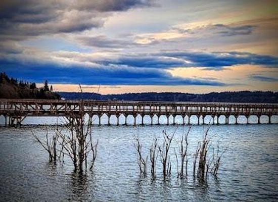 washington/tacoma/attraction/billy-frank-jr-nisqually-national-wildlife-refuge