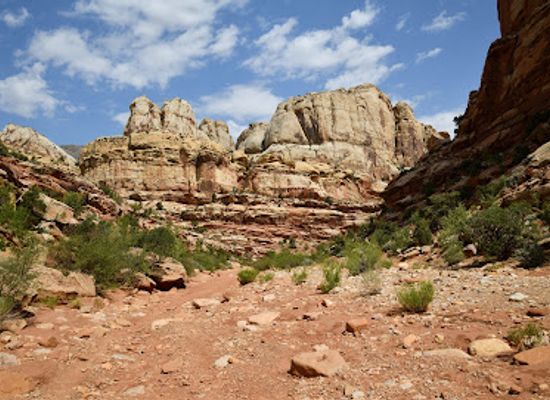 utah/capitol-reef-national-park/attraction/cassidy-arch-trailhead