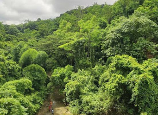 bangladesh/chittagong-division/attraction/sitakunda-eco-park-botanical-garden