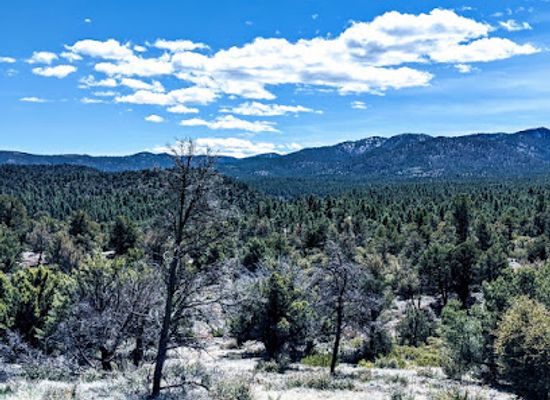 arizona/prescott-national-forest/attraction/lynx-creek-ruin-trailhead