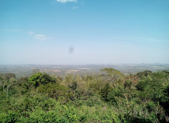 paraguay/guaira-forest/attraction/desvio-al-cerro-tres-kandu