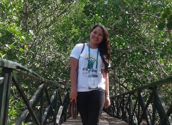 philippines/subic/attraction/subic-bay-mangrove-park