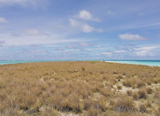 maldives/male-atoll/attraction/kagimar-forest