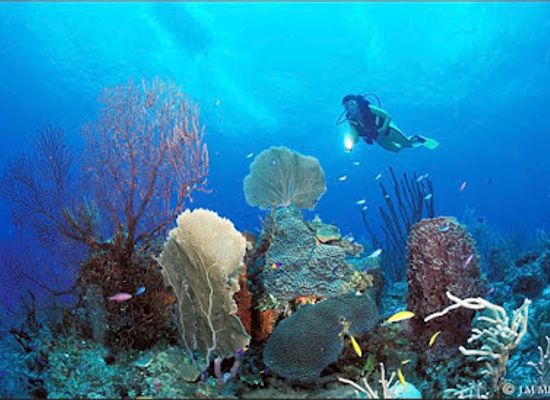 belize/corozal-district/attraction/reinmark-tours