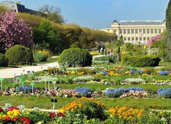 france/ile-de-france/attraction/jardin-des-plantes