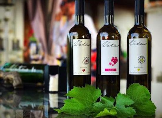 spain/ronda/attraction/bodega-vetas