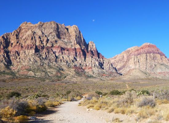 nevada/red-rock-canyon-national-conservation-area/attraction/first-creek-trail