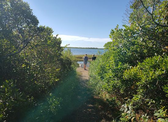 rhode-island/washington-county/attraction/audubon-lathrop-wildlife-refuge