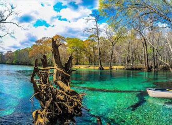 florida/panhandle/attraction/coldwater-excursions