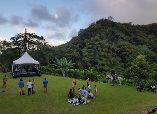 grenada/saint-patrick/attraction/myristic-mountain