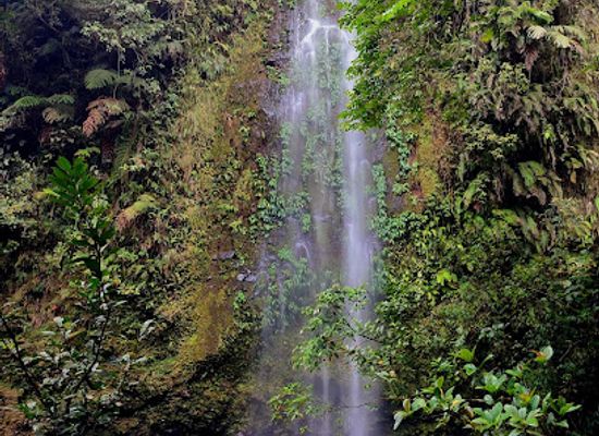 philippines/davao-region/attraction/pulang-bato-falls