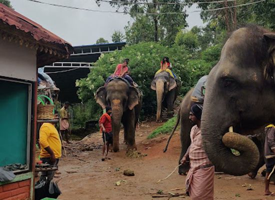 india/munnar/attraction/tourism-village