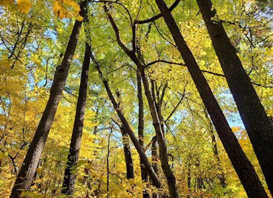indiana/the-dunes/attraction/memorial-park-krueger