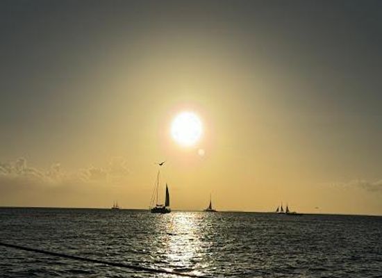 florida/key-west/attraction/catamaran-echo