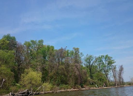 virginia/historic-triangle/attraction/featherstone-national-wildlife-refuge