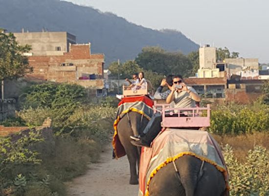 india/jaipur/attraction/eleday-office