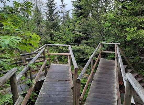 france/alsace/attraction/lotharpfad
