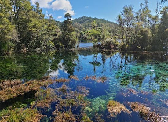 new-zealand/tasman/attraction/te-waikoropupu-springs