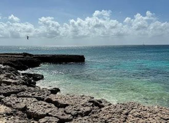 aruba/sero-blanco/attraction/malmok-beach