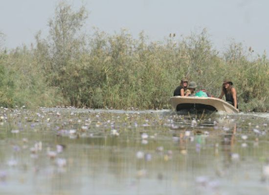 senegal/saint-louis-region/attraction/parc-national-du-diawling