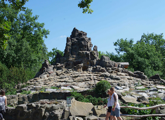 germany/brandenburg/attraction/berlin-zoological-garden