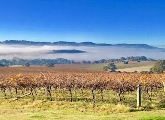australia/barossa-valley/attraction/god-s-hill-wines