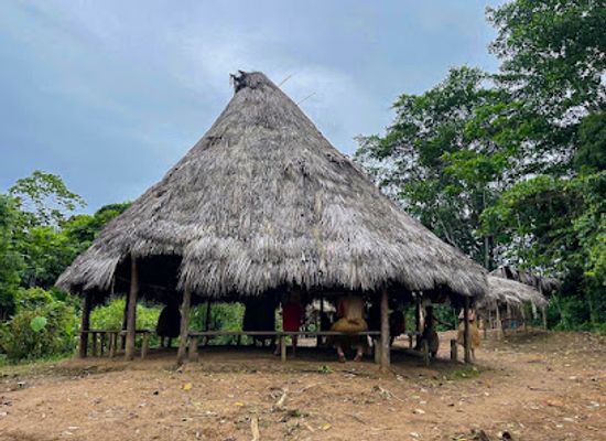 peru/loreto/attraction/maniti-expeditions-amazon-eco-lodge-tours-iquitos