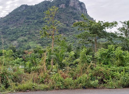 ghana/ewe/attraction/mount-adaklu