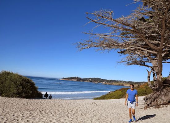 california/carmel-by-the-sea/attraction/carmel-beach