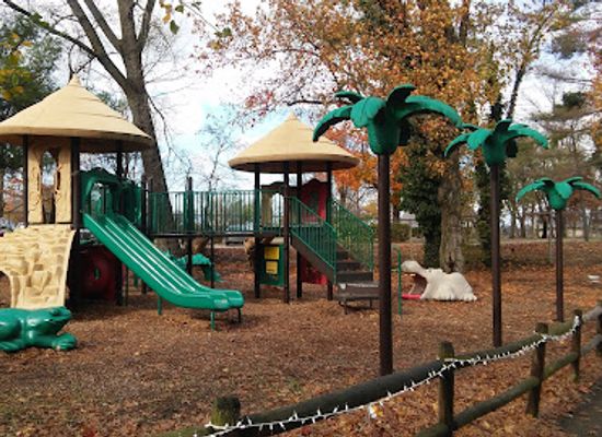 illinois/springfield/attraction/henson-robinson-zoo