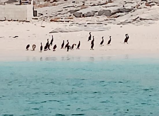 oman/musandam-peninsula/attraction/beach-accessable-from-the-sea