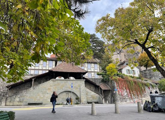 switzerland/vaud/attraction/fontaine-pierre-viret